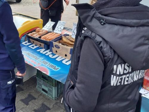 inspekcja weterynaryjna, iw, nielegalna działalność, mięso