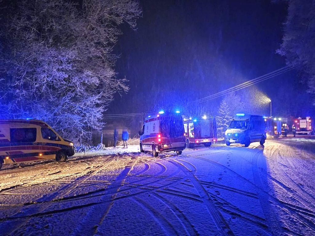 kpp puławy, zdarzenie drogowe, staw wiejski, auto w stawie