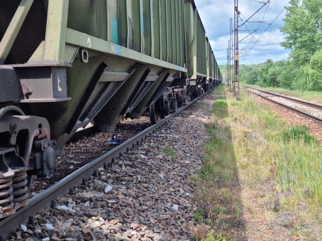lubelskie, kas, towary rolne, produkty rolne, ukraina