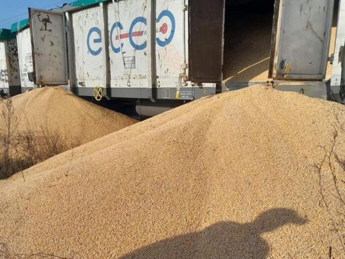 prezydent, zełenski, ukraina, kijów