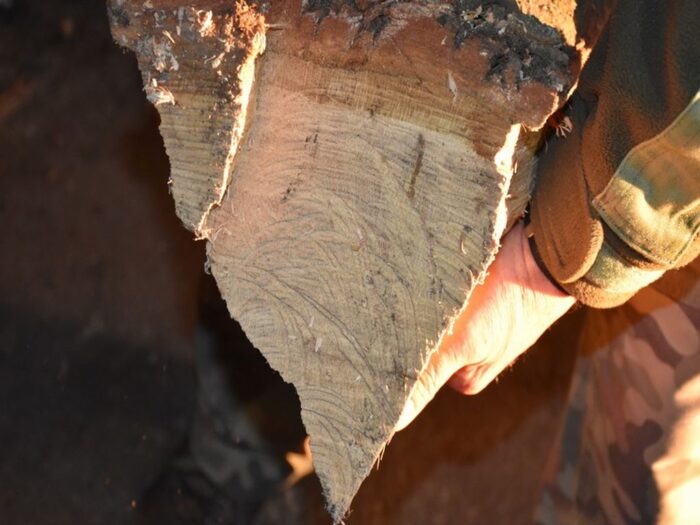 wypadek, prace gospodarcze, drewno, łupanie drewna