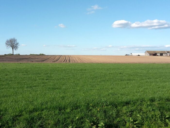 ke, wymogi, normy gaec, gaec, ugorowanie, kontrole