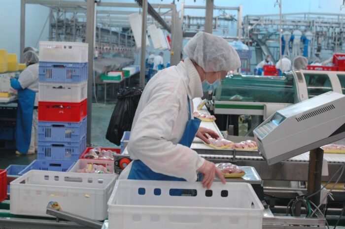 drób, eksport drobiu, produkcja drobiu, mięso drobiowe