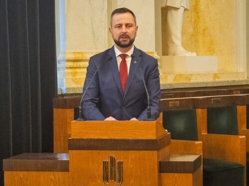 psl, wicepremier, kosiniak-kamysz, zielony ład