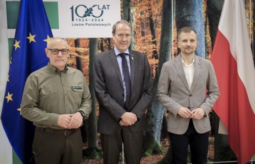 lasy państwowe, drewno, pozyskanie drewna, certyfikacja