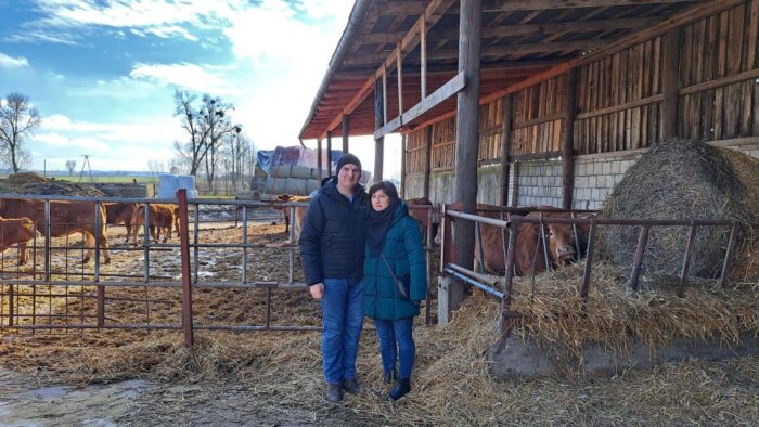 hodowla bydła mięsnego, system automatycznej kontroli masy ciała, produkcja opasów, materiał hodowlany,