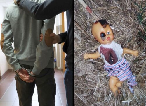 lalka, kierowca, autobus szkolny, dzieci, obornik