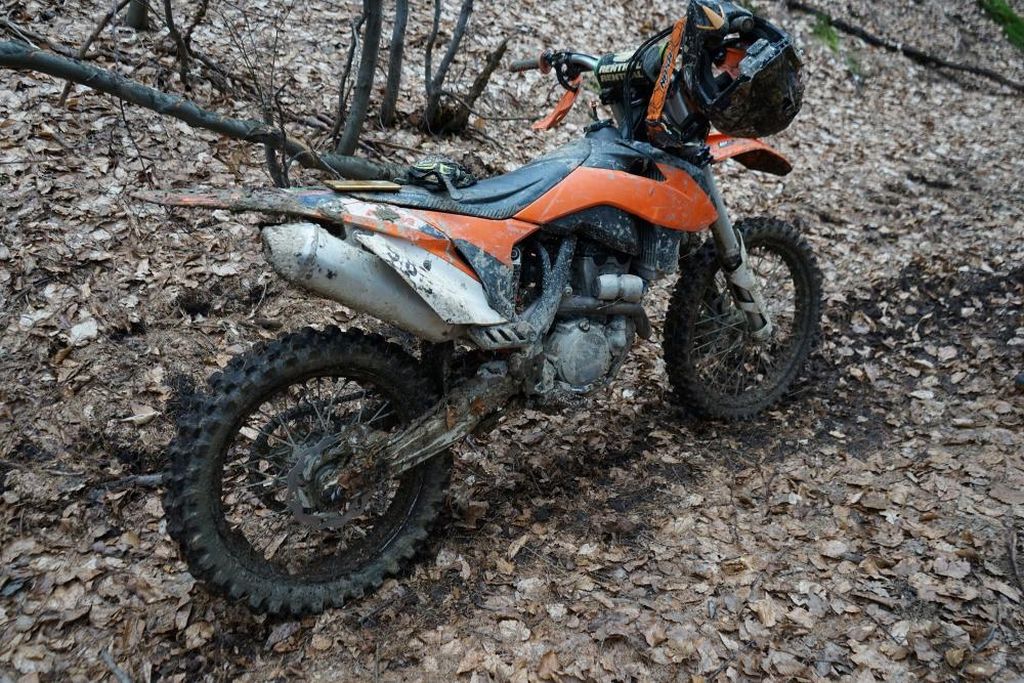 lasy państwowe, rdlp krosno, straż leśna, akcja, wieniec