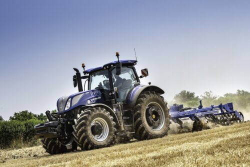 zbiory zbóż, eksport zbóż, import zbóż, zboża, pszenica, kukurydza, żyto