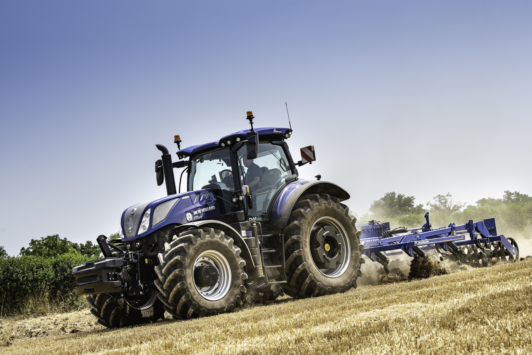 zbiory zbóż, eksport zbóż, import zbóż, zboża, pszenica, kukurydza, żyto