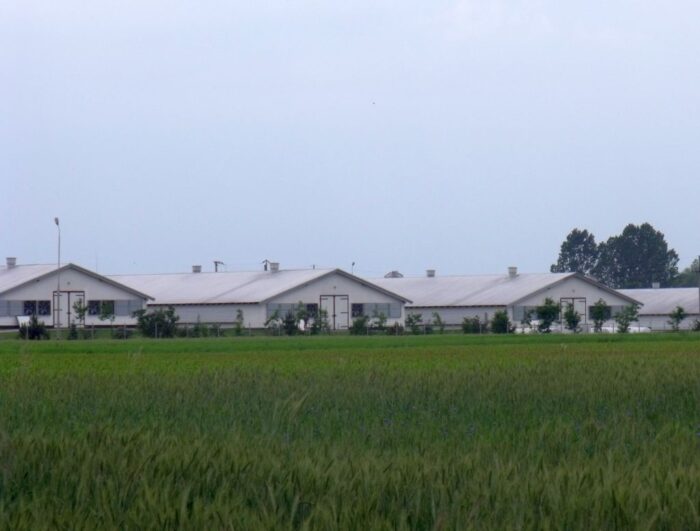 parlament europejski, emisje, instalacje przemysłowe, gospodarstwa rolne