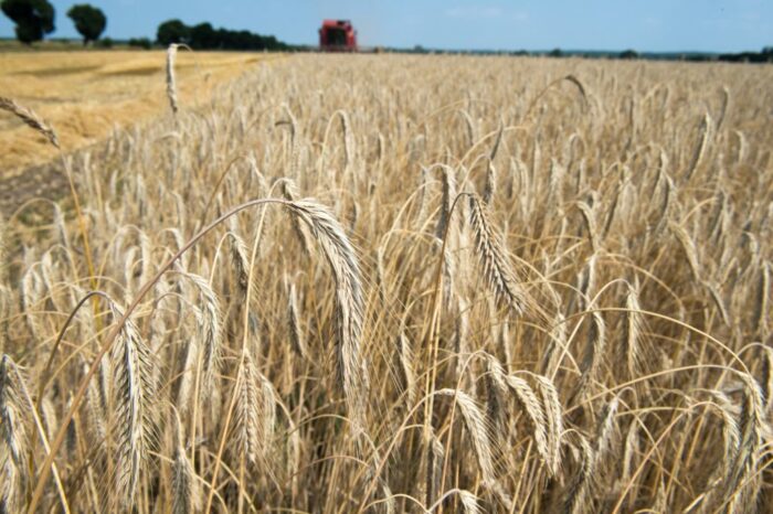 ue, minister, szłapka, cła, zboże