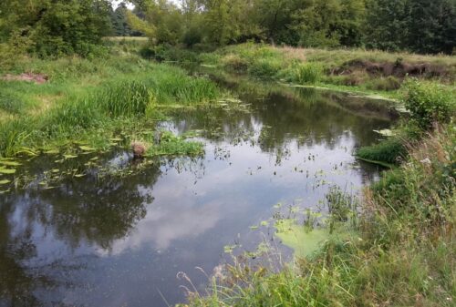 ekohydrolog, jarosiewicz, naukowcy, stan wód