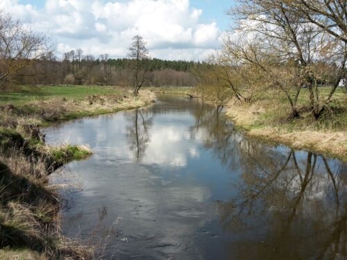 pig, geologia, sytuacja hydrologiczna, poziom wód