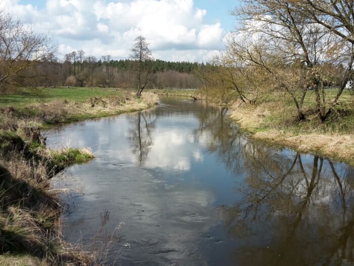 pig, geologia, sytuacja hydrologiczna, poziom wód