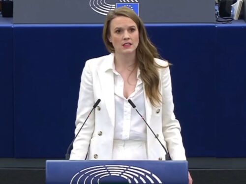 europosłanka, zieloni, reintke, ue