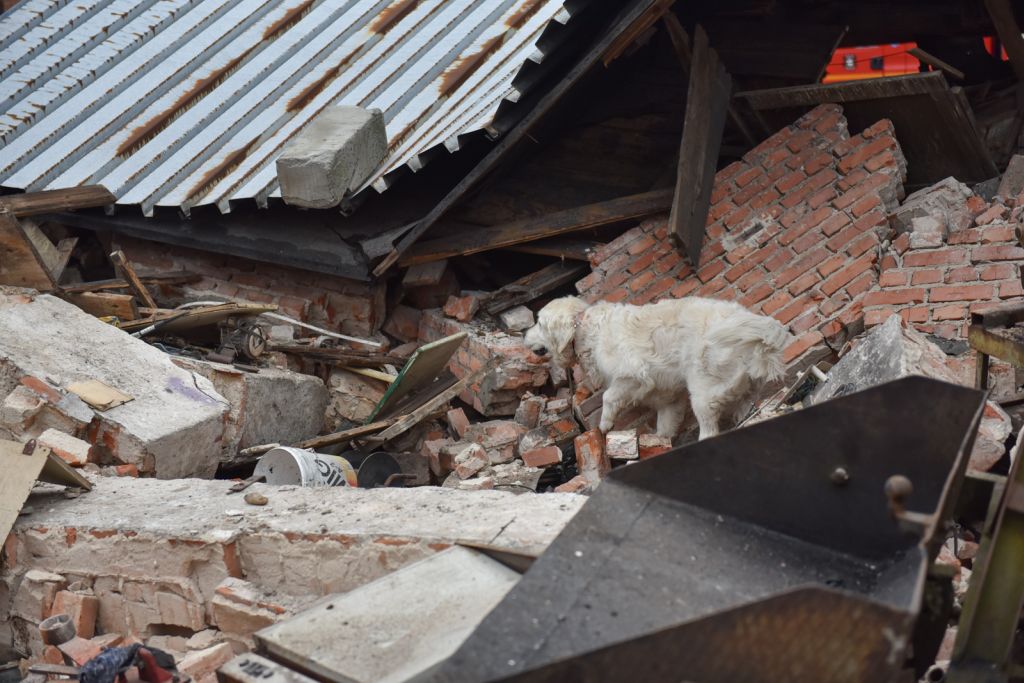 wybuch, zawalony budynek, budynek gospodarczy, ranny mężczyzna