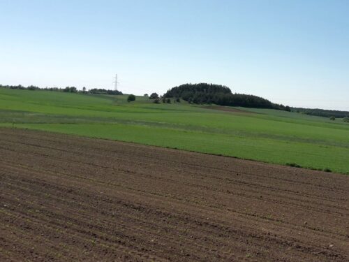 komisja europejska, zielony ład, zmiany, ugorowanie