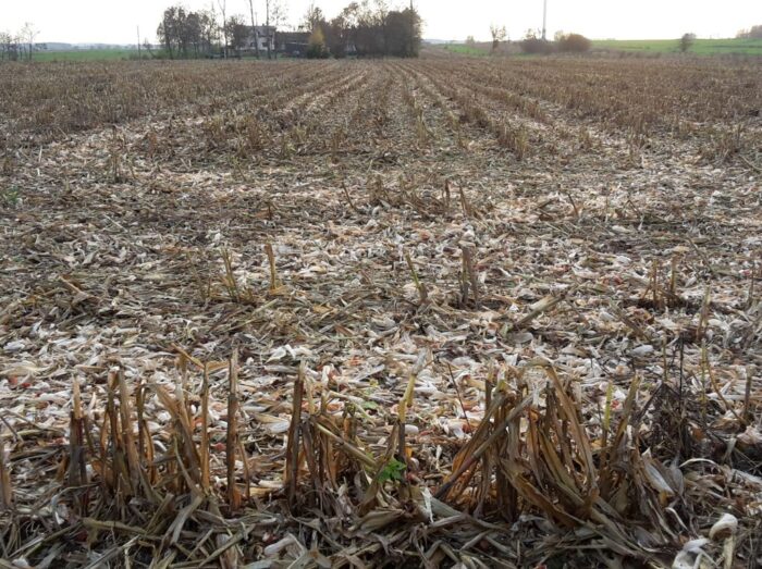 komitet ue, rolnictwo ue, wpr, gaec