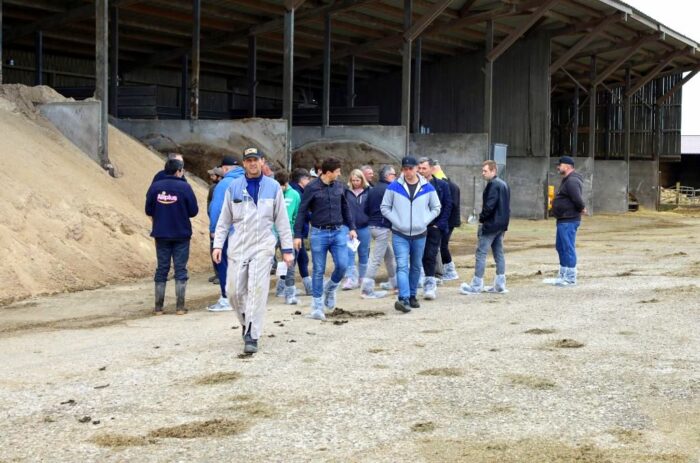 Aliplus, uszlachetnianie zboża, przeciwdziałanie kwasicy, wzrost pH zboża, alkalizacja,