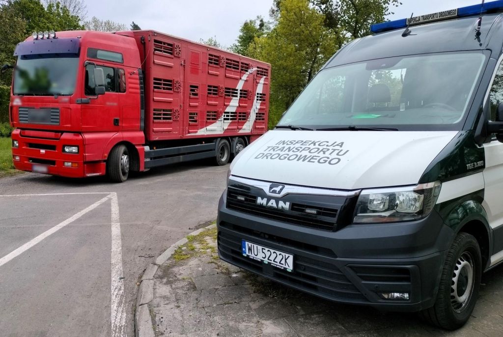inspektorzy, kontrola, ciężarówka, przewóz ciągnika