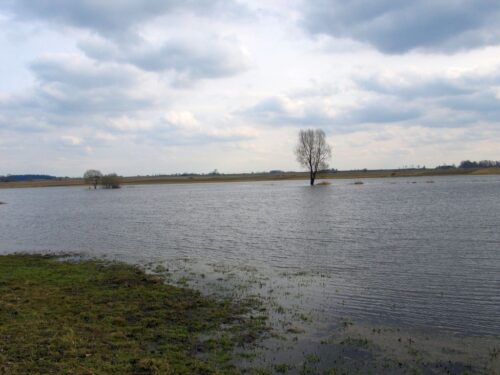 francja, powódź, zmiana klimatu, wino