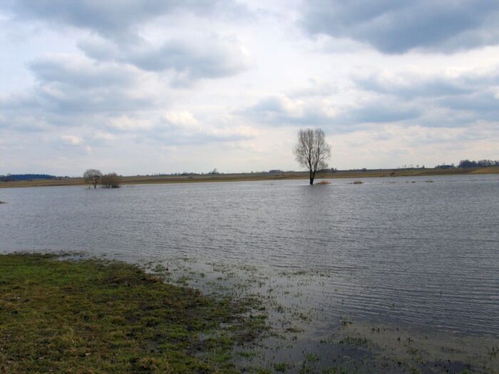 francja, powódź, zmiana klimatu, wino