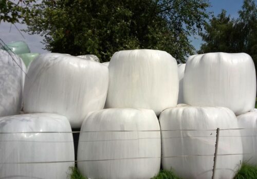 wyrok, kradzież, pasza, baloty