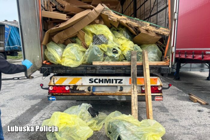 kryminalni, kradzież, paserstwo, skrzynie biegów