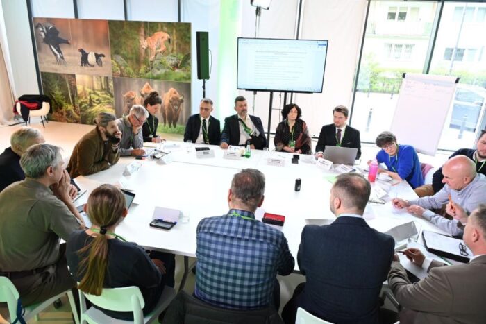 wiceminister klimatu, dorożała, narada o lasach, lasy państwowe