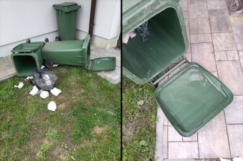 wieś, niedźwiedź, gmina, ostrzeżenie