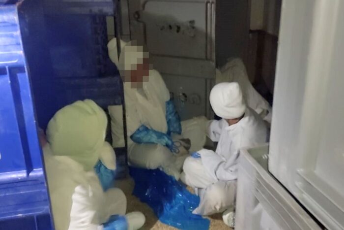 pogranicznicy, kontrola, zakład mięsny, przetwórstwo mięsne, nielegalni pracownicy