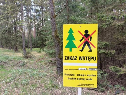 lasy państwowe, lasy, opryski, szkodniki