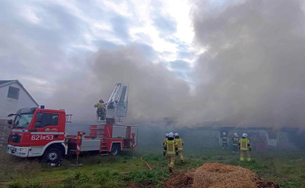 akcja gaśnicza, pożar, kurnik, straty