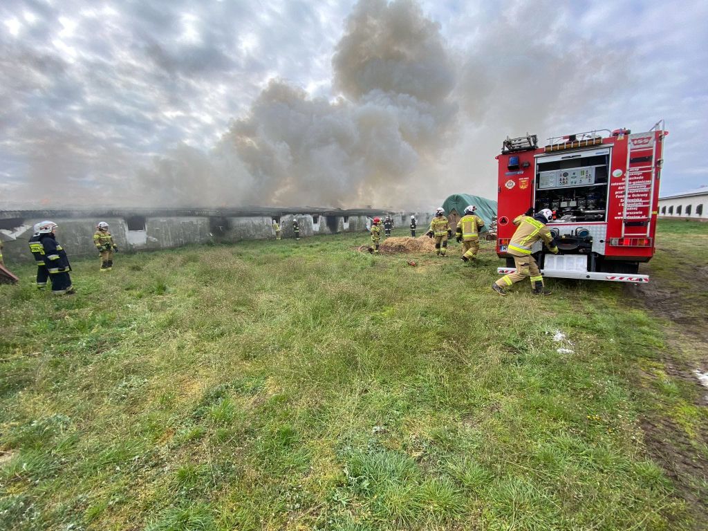 akcja gaśnicza, pożar, kurnik, straty