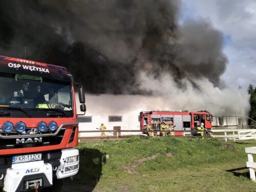 akcja gaśnicza, pożar, stadnina koni, pożar stadniny