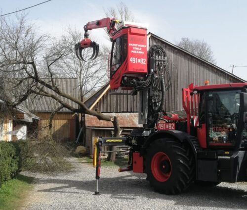 drzewo, powalone drzewo, wichura, wiatr