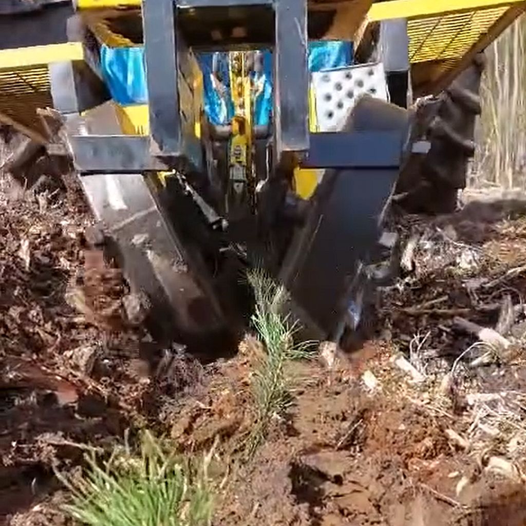 lasy, sadzenie lasu, sadzarka, maszyna