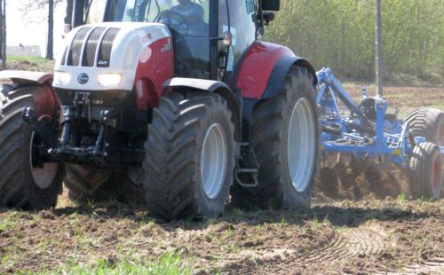 sondaż, badanie, praca, rynek pracy