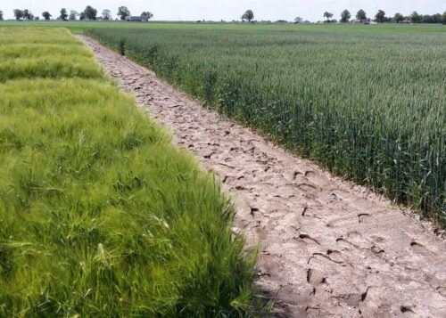 sprzedaż ziemi, kredyty, inwestycje, banki