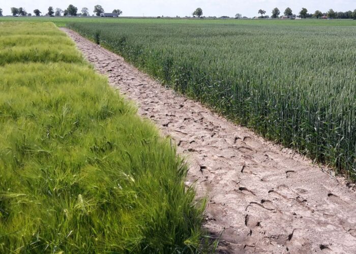 sprzedaż ziemi, kredyty, inwestycje, banki