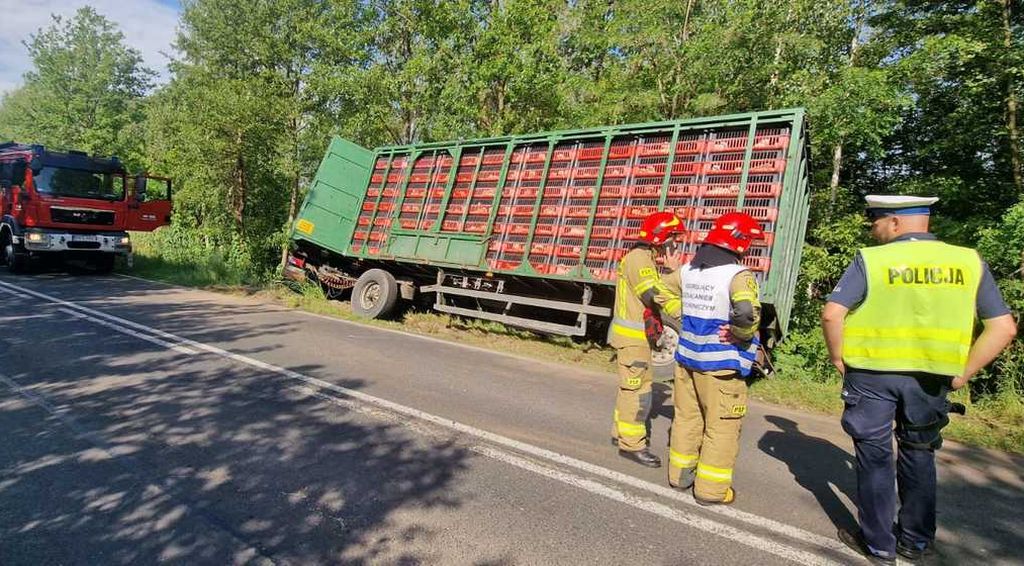 zdarzenie drogowe, ciężarówka, drób, transport drobiu
