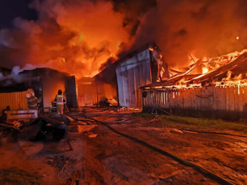 pożar, gospodarstwo, bydło, byki