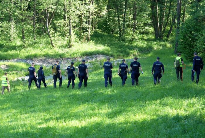 dziki, padłe dziki, asf, poszukiwanie dzików