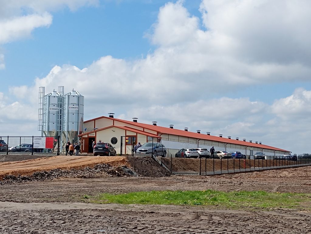 Gobarto, tucz kontraktowy, tuczniki, hodowcy świń, producenci tuczników, opłacalność produkcji, Gobarto 500