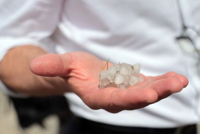 lubelszczyzna, sady, uprawy, gradobicie