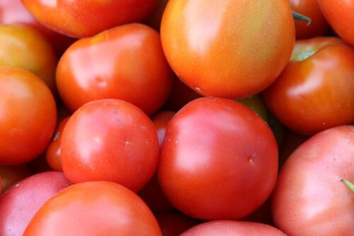 hiszpania, ue, maroko, pomidory