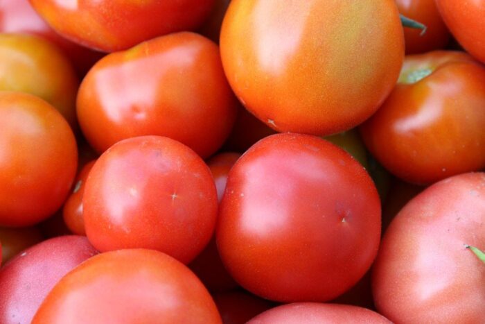 hiszpania, ue, maroko, pomidory