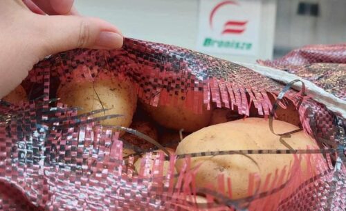 ijhars, kontrola, rynki hurtowe, giełdy