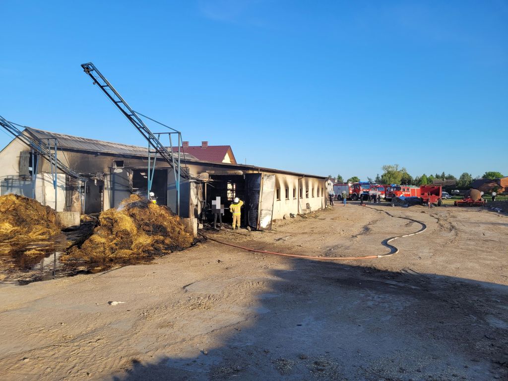 pożar, gospodarstwo, budynek inwentarski, obora